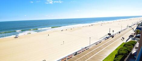 Condo, 1 Bedroom | Beach | On the beach