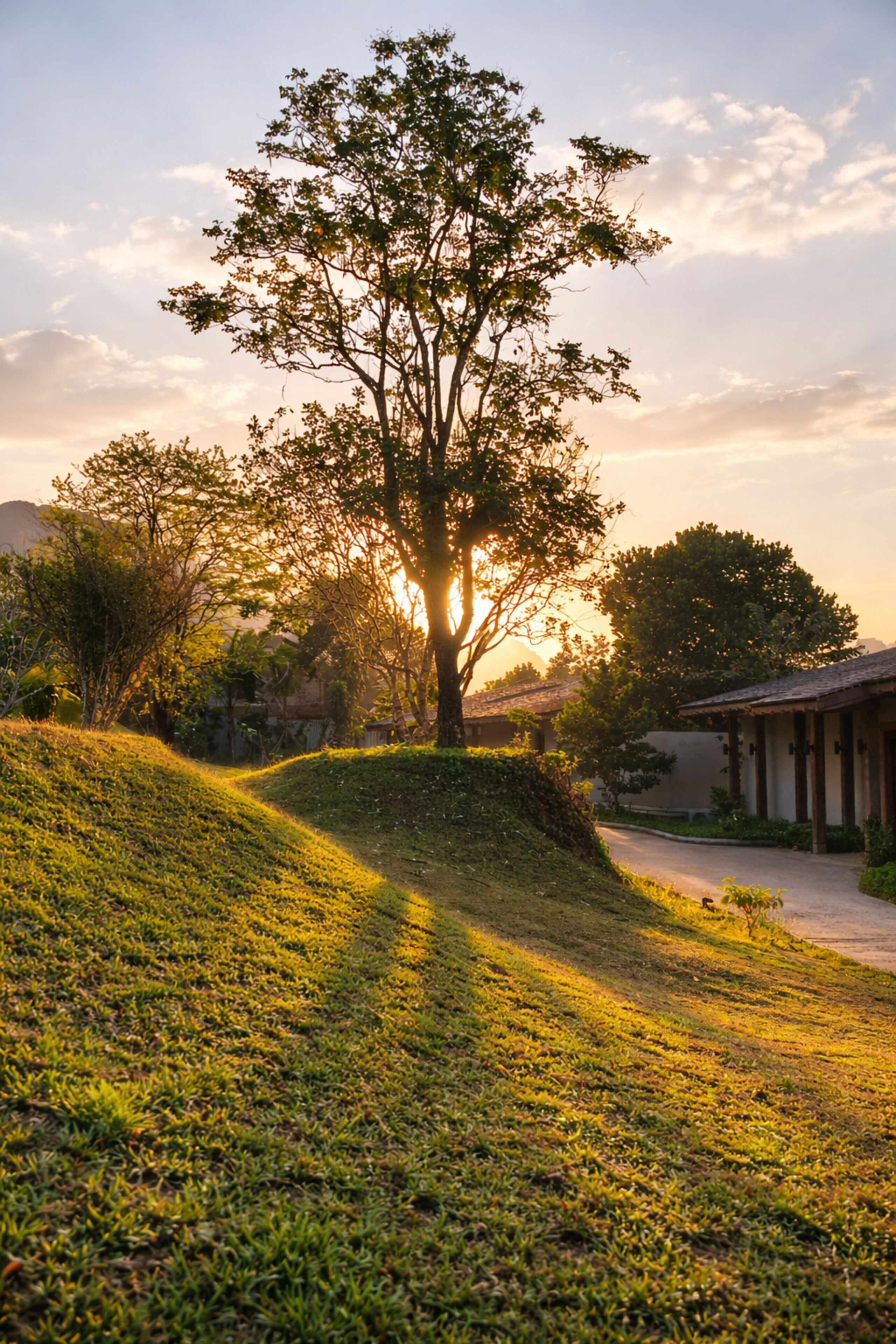 A tree-lined pathway leading to a building with a sloped roof.