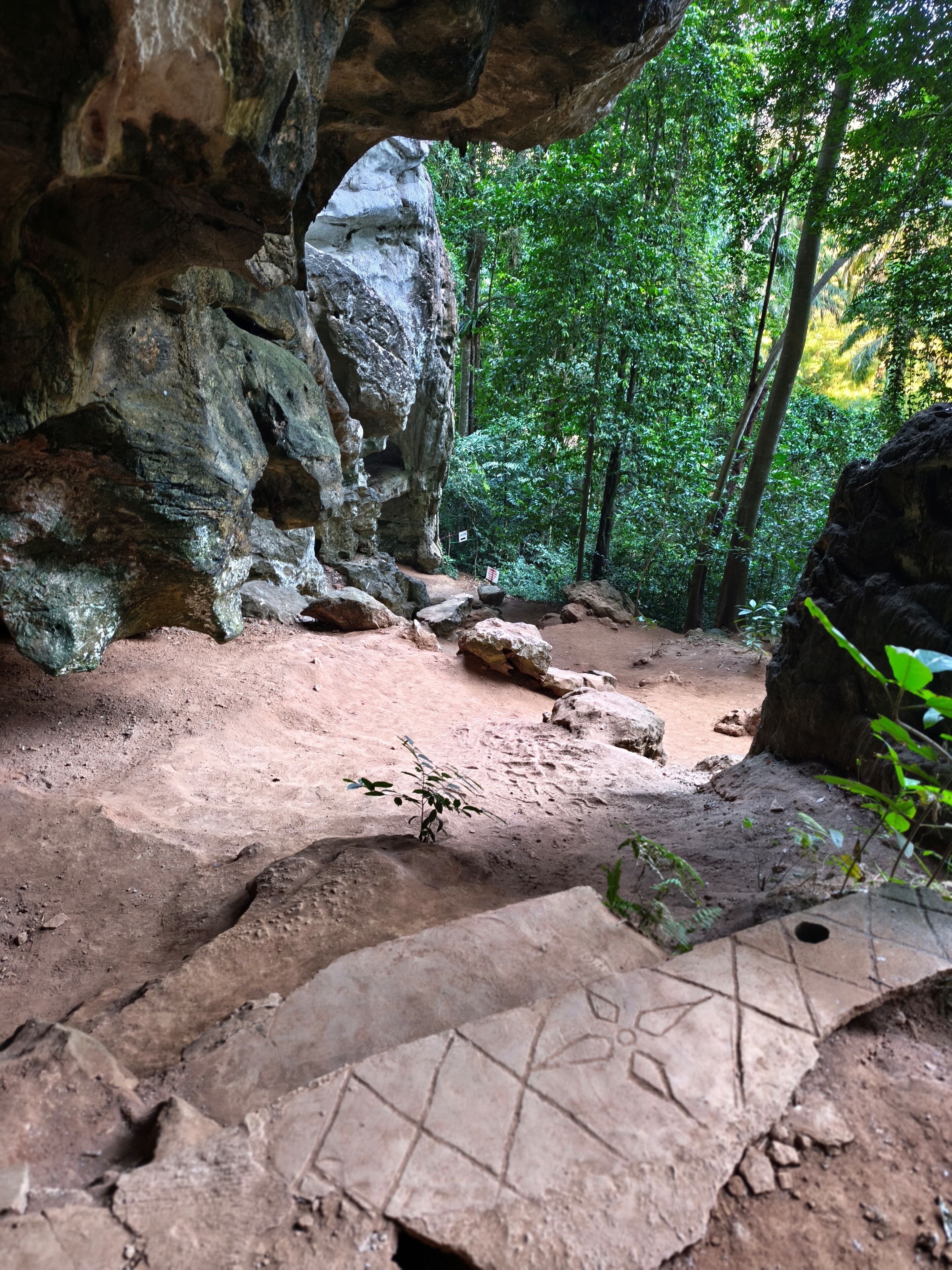 Eingang einer Höhle mit felsigen Wänden und einem schottrigen Pfad, der in einen bewaldeten Bereich führt.
