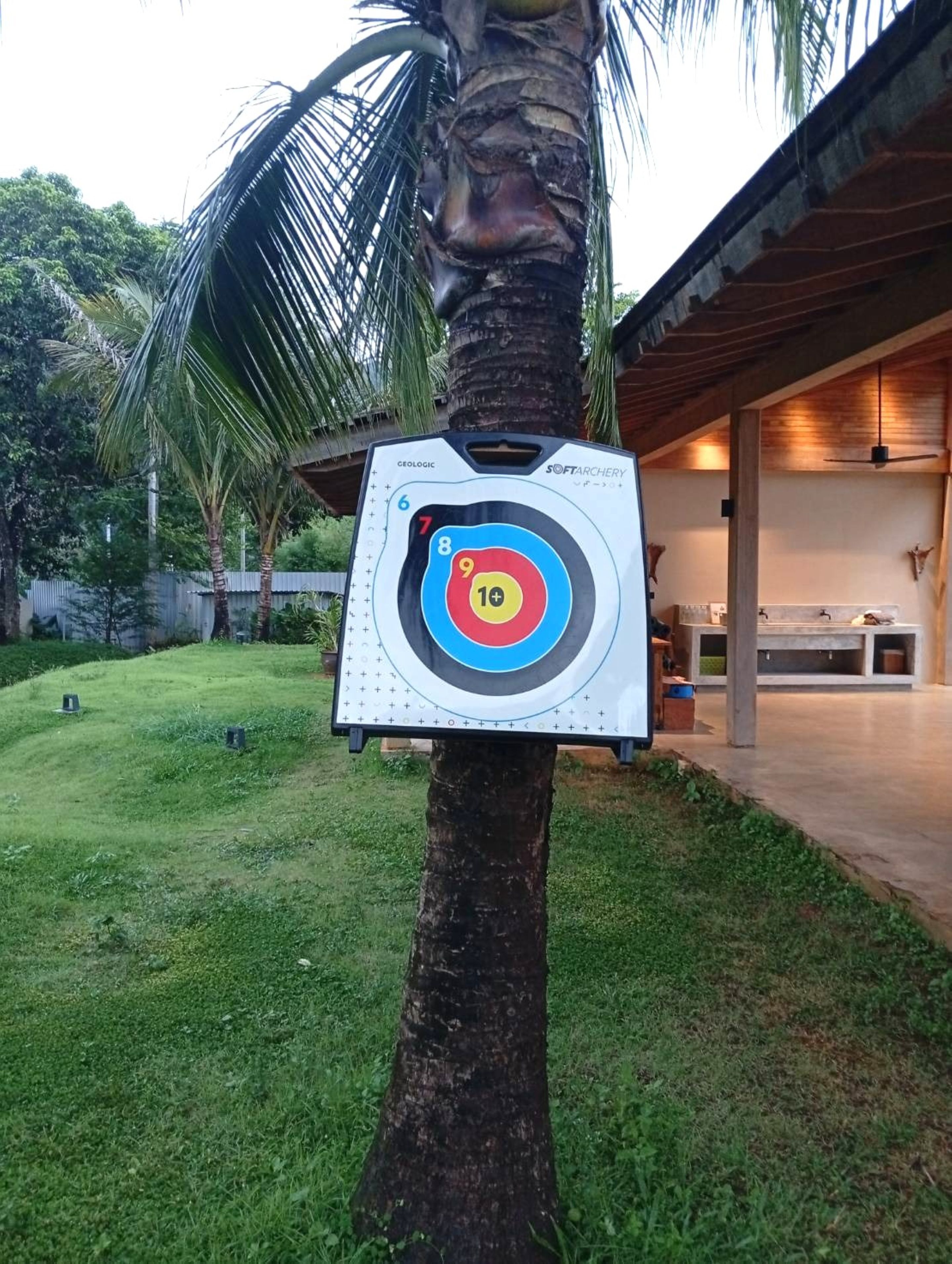 A target board with numbers 1 to 10, mounted on a tree in a backyard.