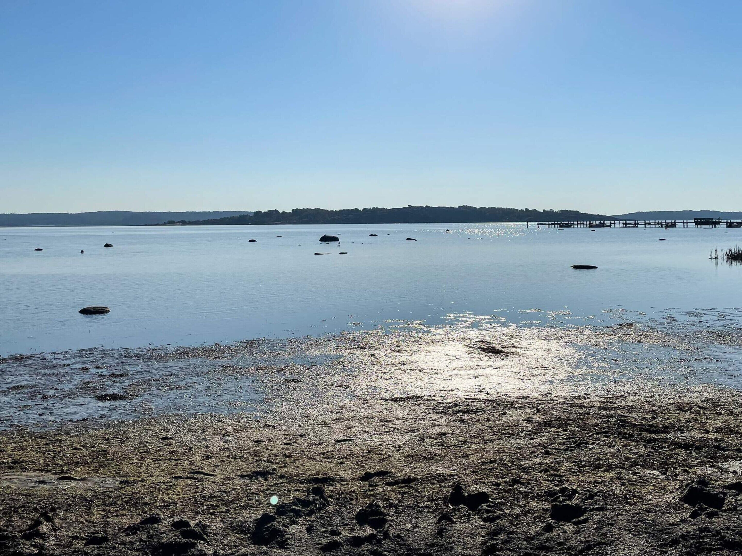 A calm lake with a clear sky, a distant shoreline, and a pier extending into the water.