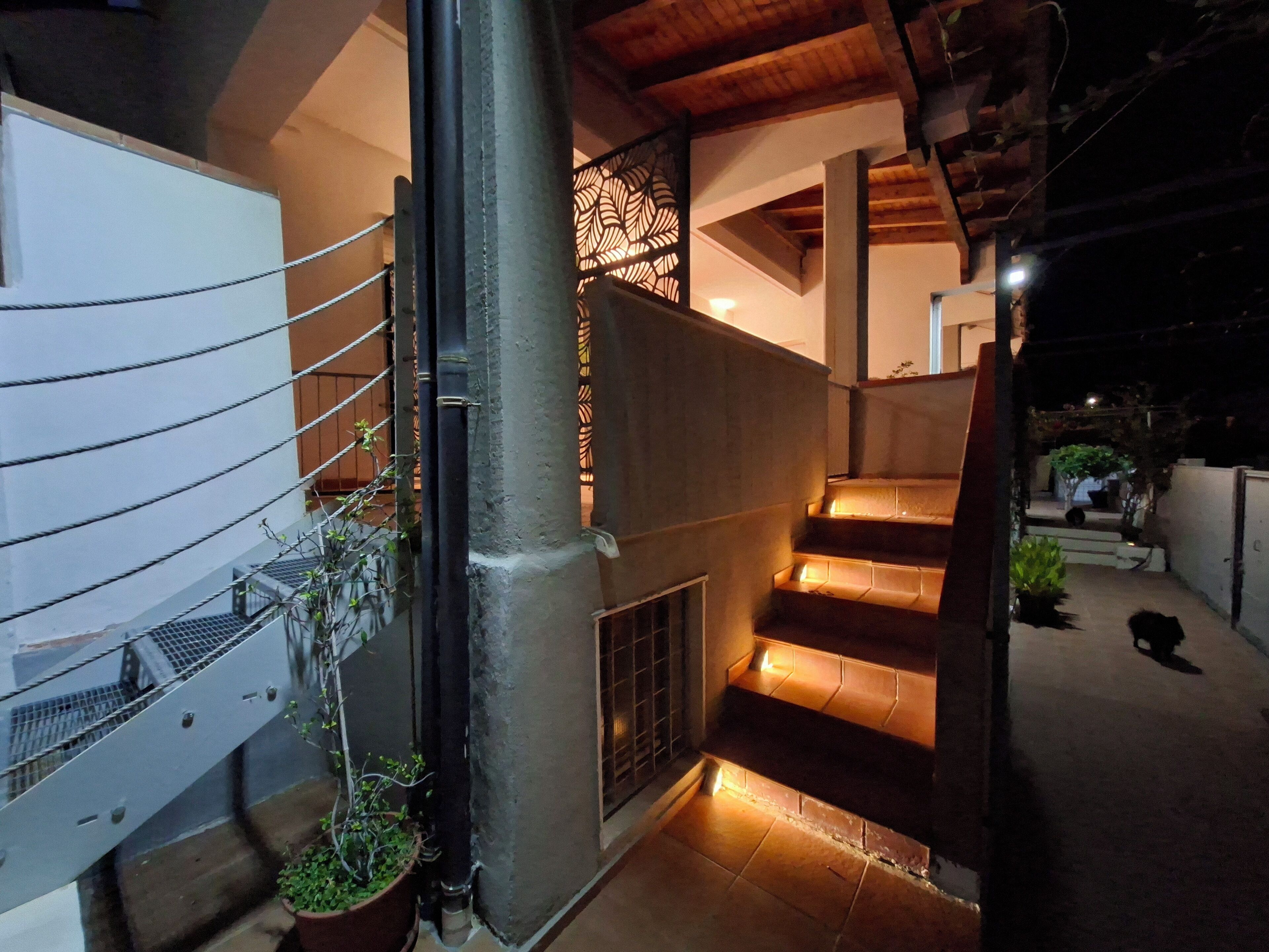 A staircase with warm lighting, a metal railing, and potted plants.