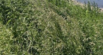 Kaliva Comfortable Holiday Residence