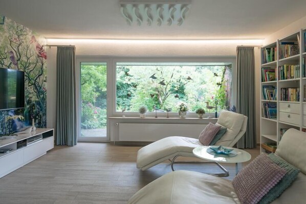 Älytelevisio, DVD-soitin