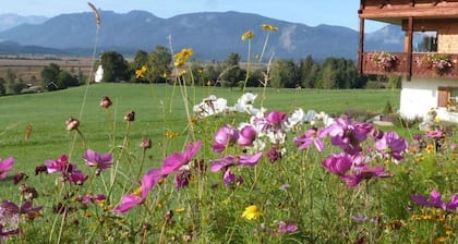 Alpspitz Comfortable Holiday Residence
