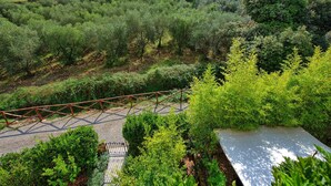 A vineyard with rows of grapevines, a metal fence, and a gravel path. - Casa Minuccia - Vacation house in Chianti (Villa A Sesta)