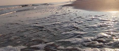 House | Beach