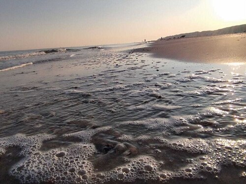 Inselgluck Comfortable Holiday Residence