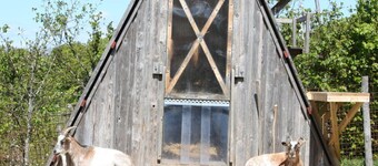 Reinhardt 4 Comfortable Holiday Residence