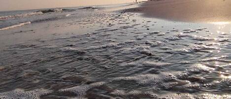 House | Beach