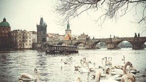 A river with swans and a bridge with a boat in the background. - MyMozart City Center Residence: 702 (Prague)