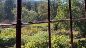 Blick durch ein Fenster mit Metallrahmen, der eine Landschaft mit Bäumen und einem Gewässer zeigt.