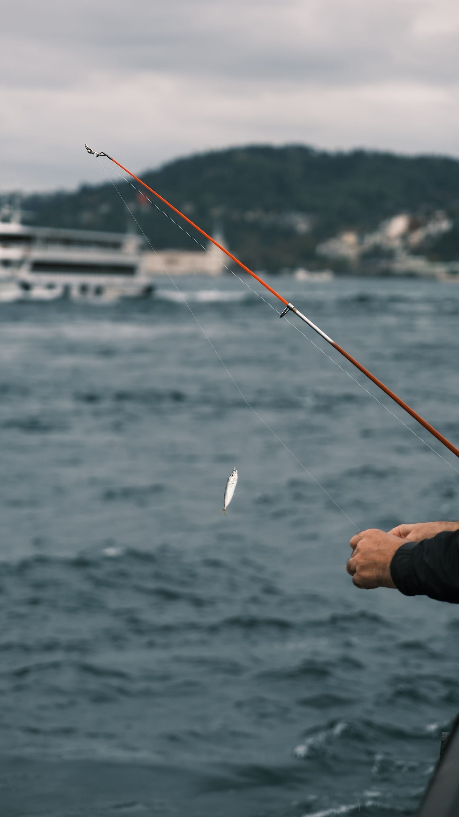A fishing rod with a fish on it, held by a person.