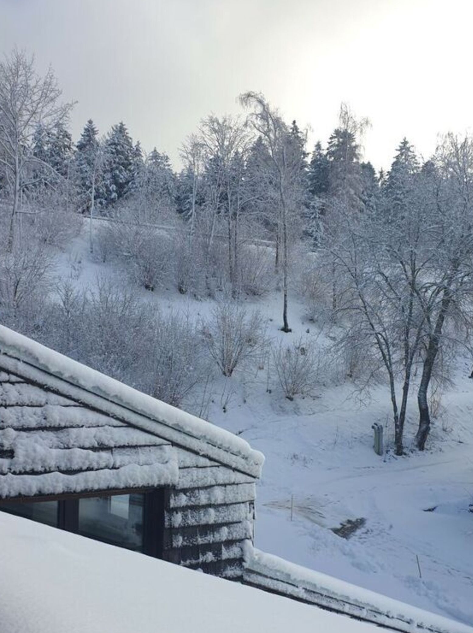 Mobile Home | Property grounds