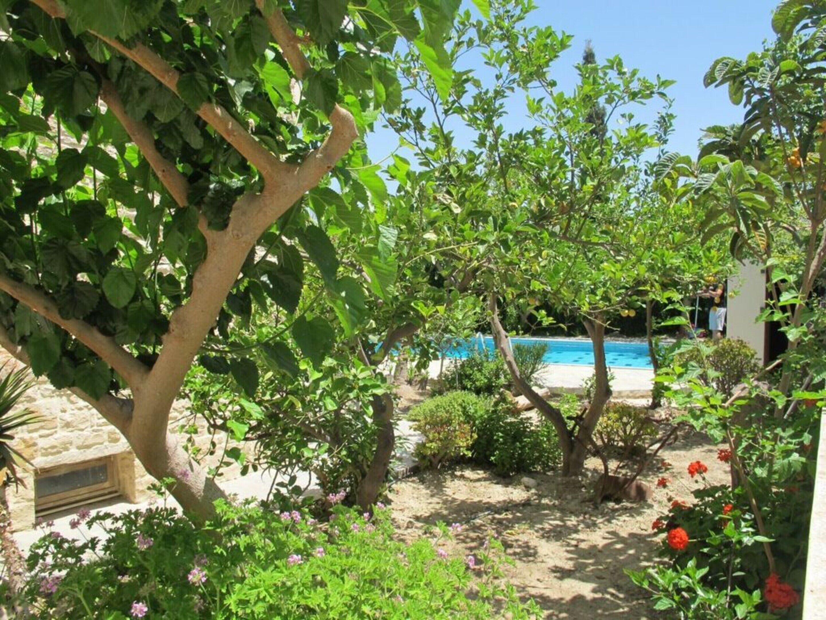 活动屋 | 泳池 | 室外游泳池