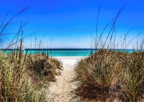 A beach path leading to the ocean with clear blue water. - 20% Discount, 4BR Pool, $700 in freebies incl golf (Miramar Beach)