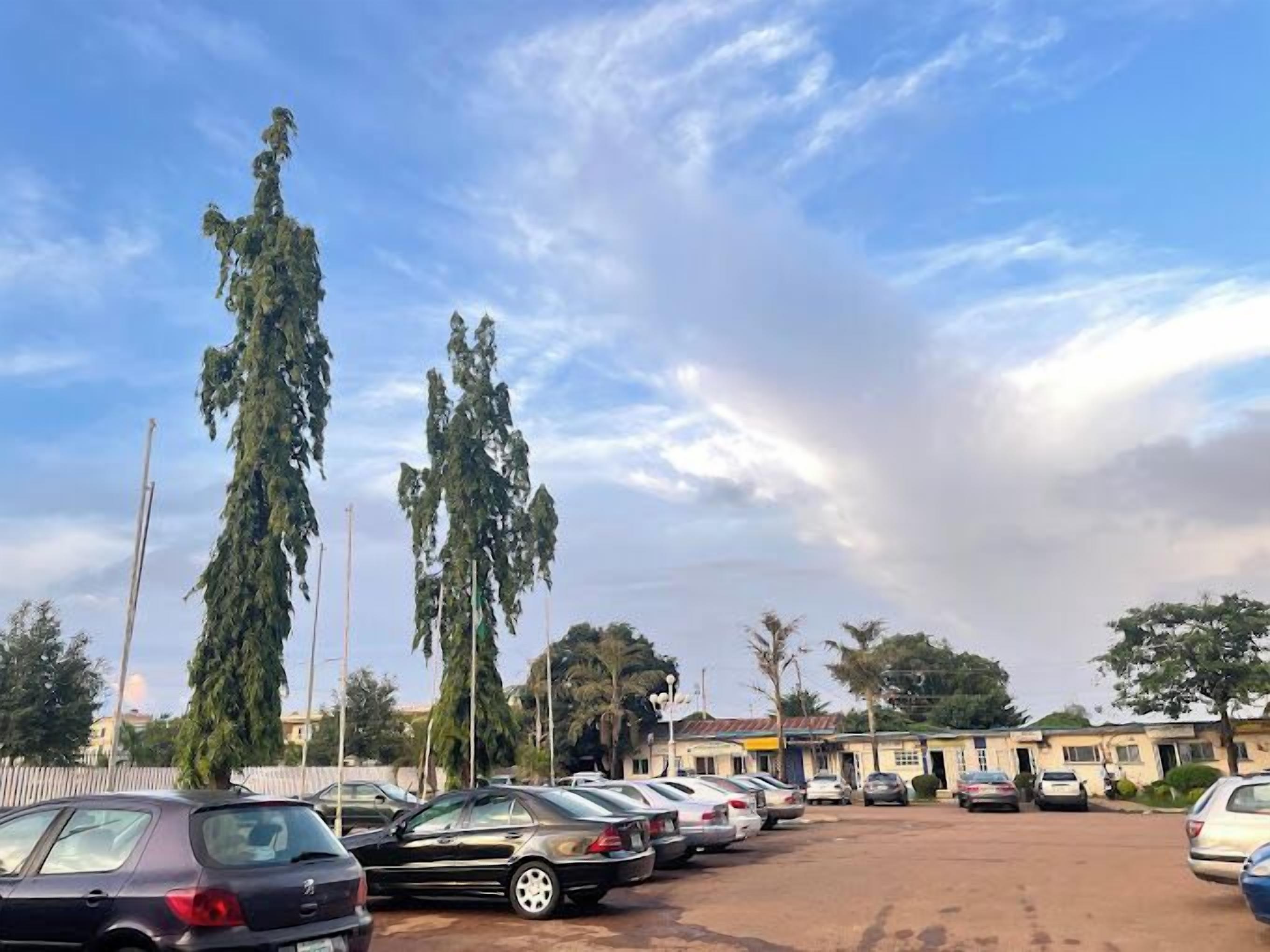 A parking lot with several cars, tall trees, and a building in the background.