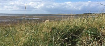 The Shell Comfortable Holiday Residence