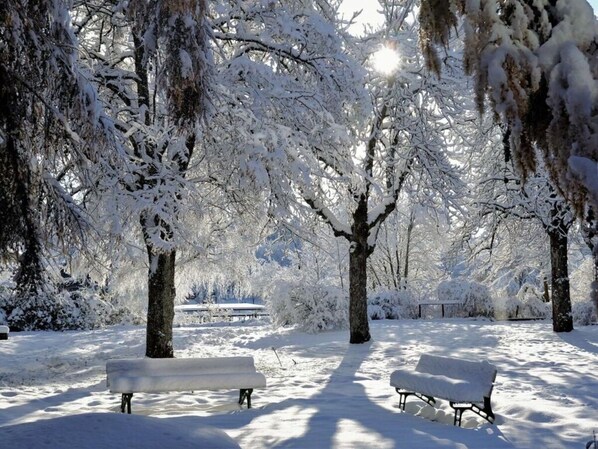 House | Property grounds - Ferienwohnung Kohnke 2 (Goslar)