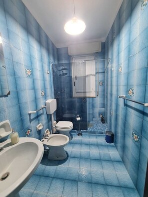 Regadera, secadora de cabello, bidet, toallas