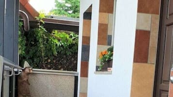Mobile Home | Property grounds