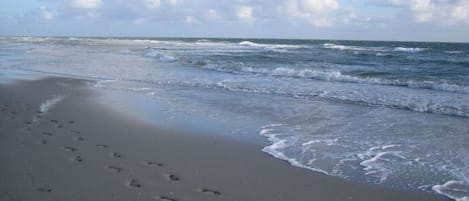 ชายหาด