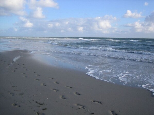 Beach - Seestern Comfortable Holiday Residence (Nebel)