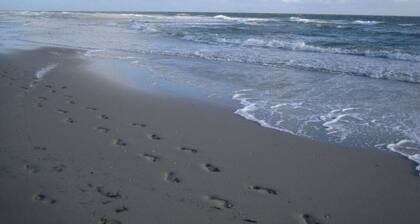 Seestern Comfortable Holiday Residence