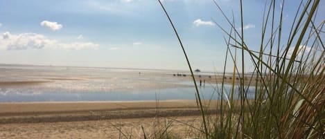 Ferienhaus | Strand