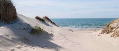 House | Beach