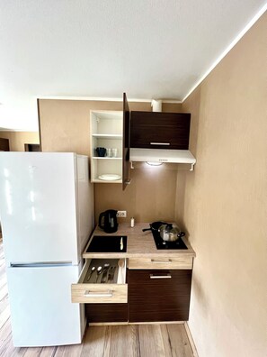 Fridge, stovetop, electric kettle, cookware/dishes/utensils - Studio near the center, ideal for low budget WIFI (Tartu)