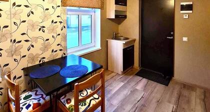 Studio proche du centre, idéal petit budget WIFI