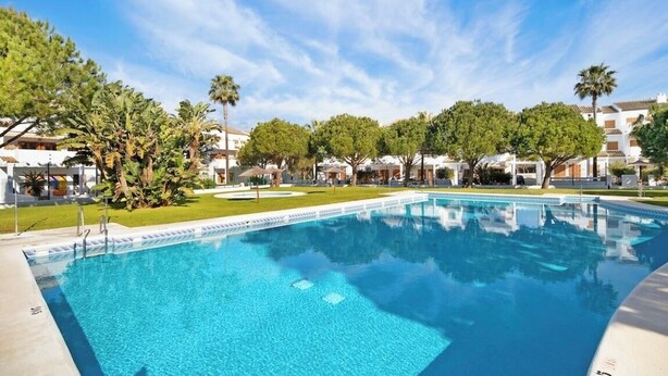 Una piscina rodeada de palmeras y edificios.