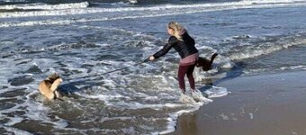 Birdie Comfortable Holiday Residence