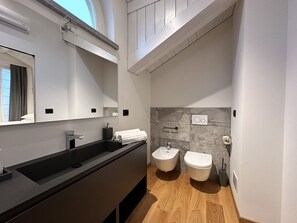 Regadera, secadora de cabello, bidet, toallas 