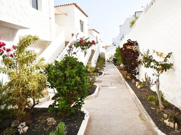 House | Exterior - A55 Comfortable Holiday Residence (Pajara)