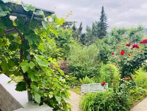 Mobile Home | Property grounds