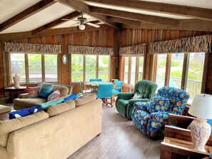 تلفزيون ذكي، مدفأة، مكتبة فيديو