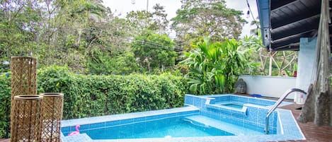A swimming pool with steps, surrounded by lush greenery and a wooden deck.