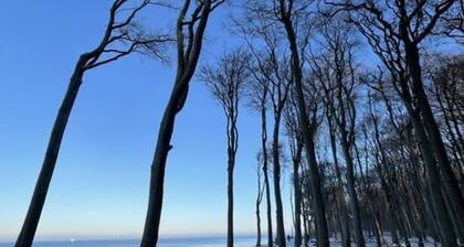 Villa Sanddorn 14 - Luxury With sea View