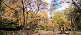 Briar Patch Inn