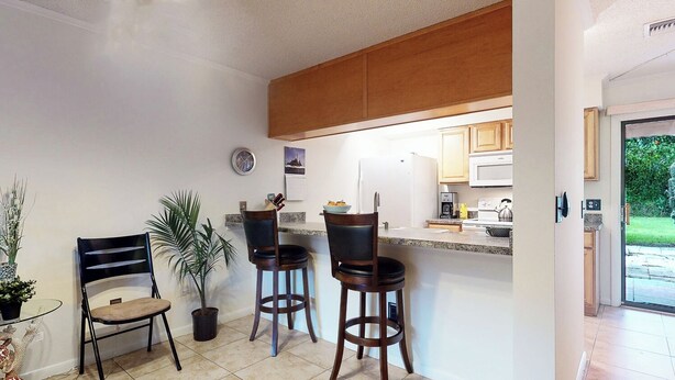 A kitchen with a bar area, a dining chair, a potted plant, and a view of the outdoors.