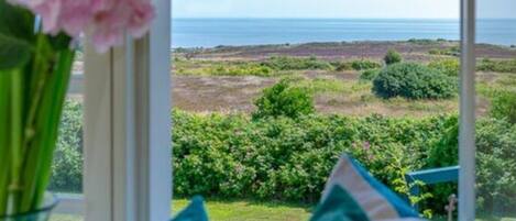 Mobile Home | View from property