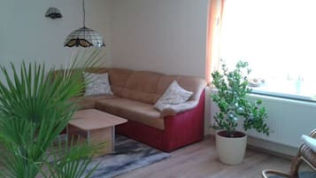 House | Living area | Fireplace