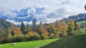 Een uitzicht op een bergachtig landschap met een grasveld en bomen in herfstkleuren.
