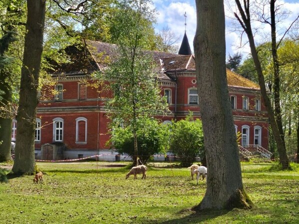 Exterior - Holiday Apartment 1 Am Rodelberg (Priborn)