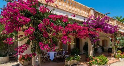 Holiday House in Ariany With 1 Bedroom