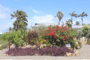 Property grounds - Villa Mangrove 2 people, sea view, in the heart of the Riviera of the Guadeloupe Islands (Sainte-Anne)