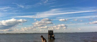 Lilly Comfortable Holiday Residence