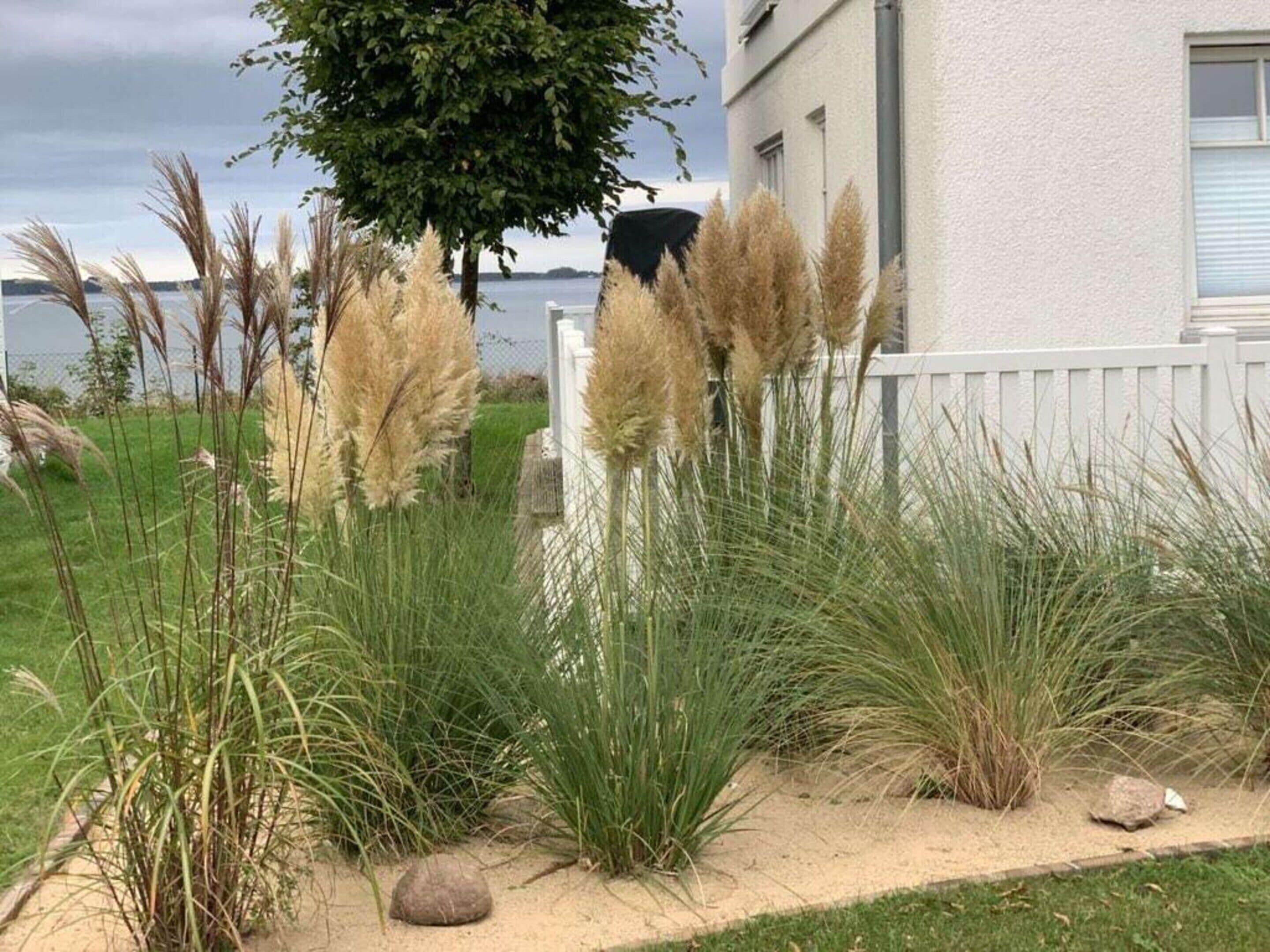 獨棟房屋 | 外觀